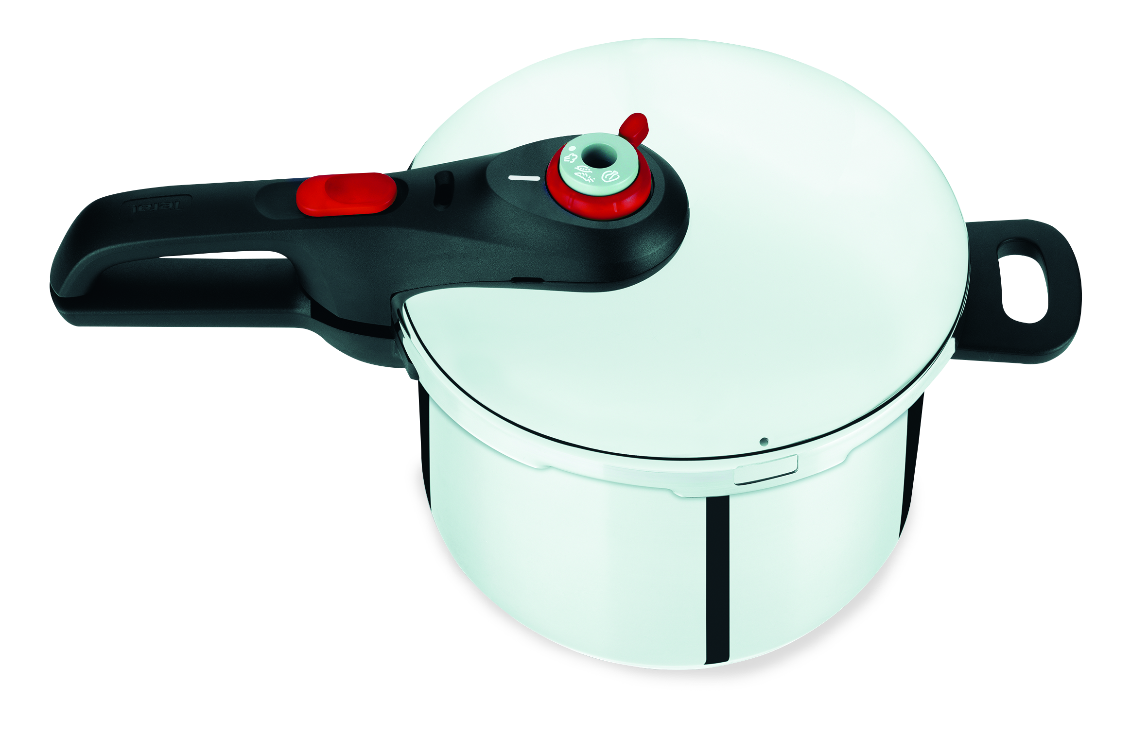 User manual and frequently asked questions Tefal Fast & Easy Induction Stainless Steel Pressure Cooker 6L